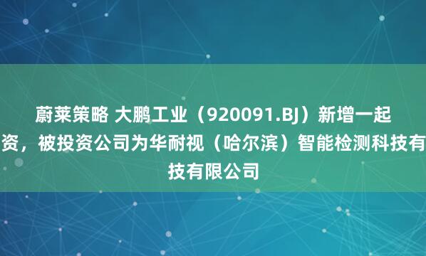 蔚莱策略 大鹏工业（920091.BJ）新增一起对外投资，被投资公司为华耐视（哈尔滨）智能检测科技有限公司